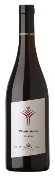 pinotNero grande