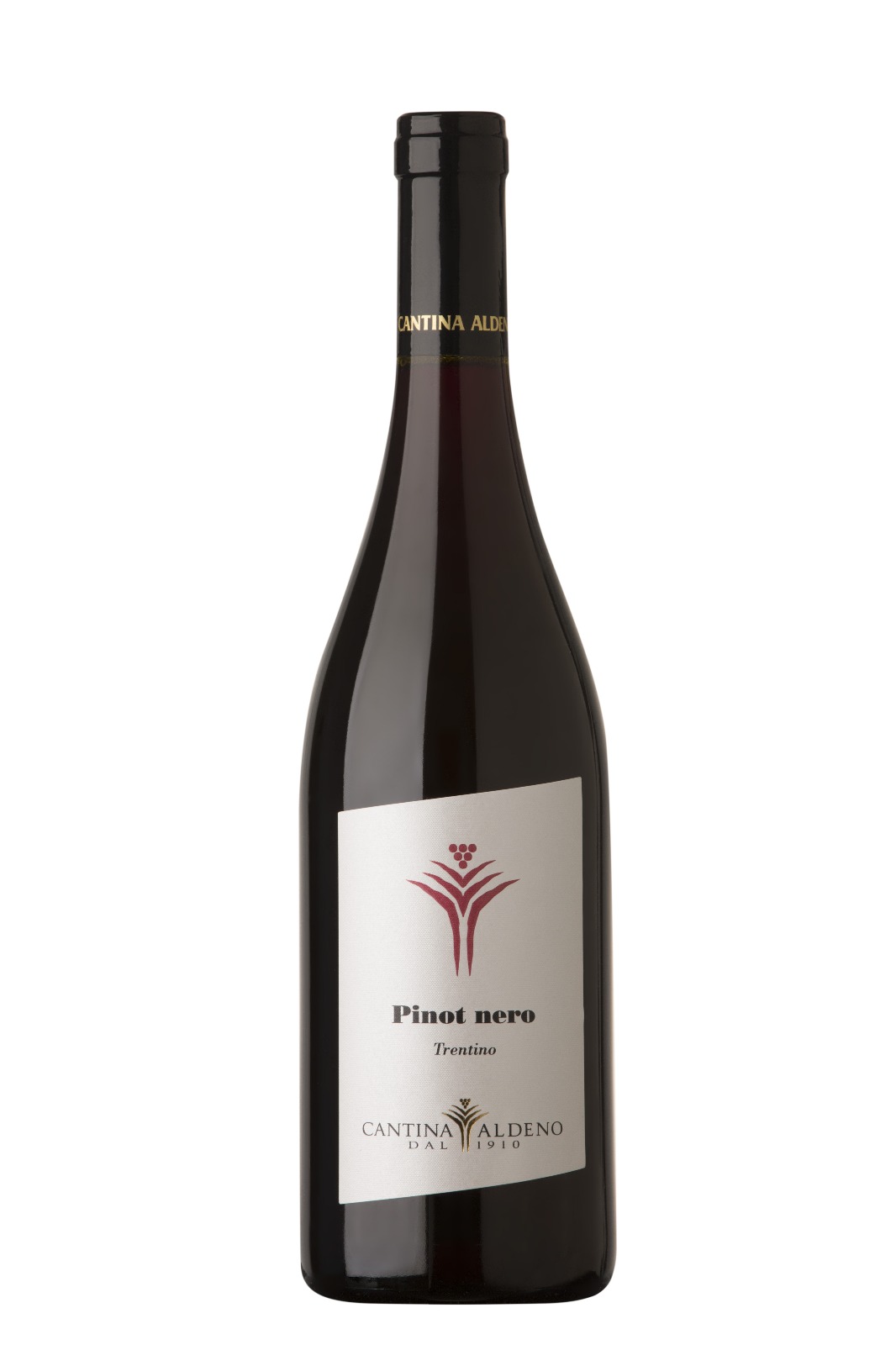 190307 Pinot Nero 3